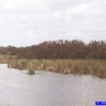 Florida - Everglades