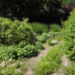 Hamburg Planten un Blomen