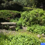 Hamburg Planten un Blomen