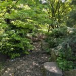 Hamburg Planten un Blomen
