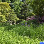 Hamburg Planten un Blomen