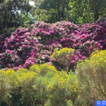 Hamburg Planten un Blomen