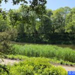 Hamburg Planten un Blomen