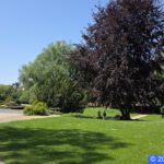 Hamburg Planten un Blomen